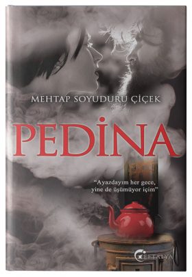 Pedina