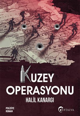Kuzey Operasyonu