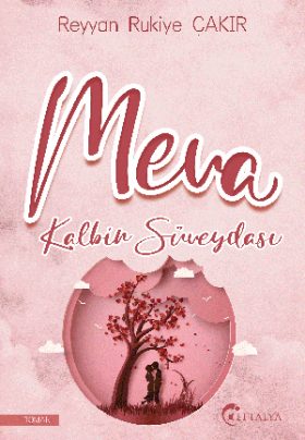 MEVA Kalbin Süveydası